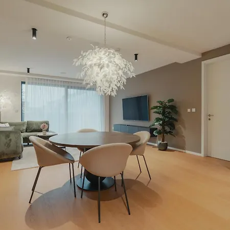 City Residence 公寓 卢布尔雅那